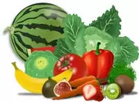 Benefits of Hydroponics Organic Fruits