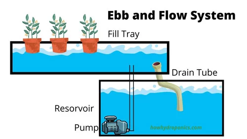 Ebb-and-Flow-Hydroponic-System-Diagram