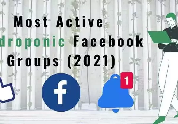 Hydroponic Facebook groups