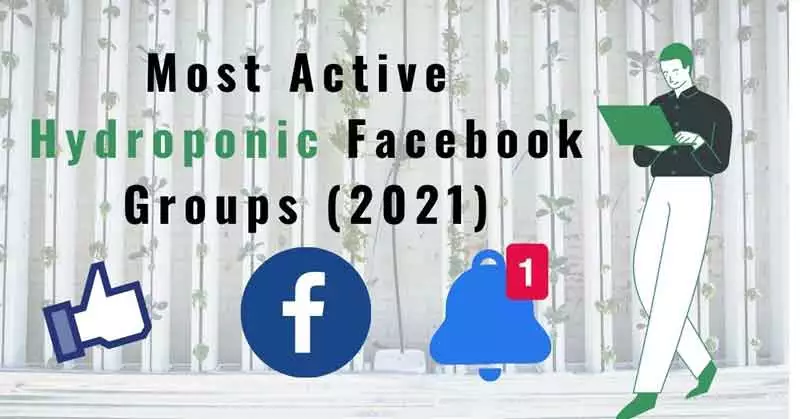Hydroponic Facebook groups