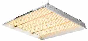 Hydroponic-grow-light-LED-fixture