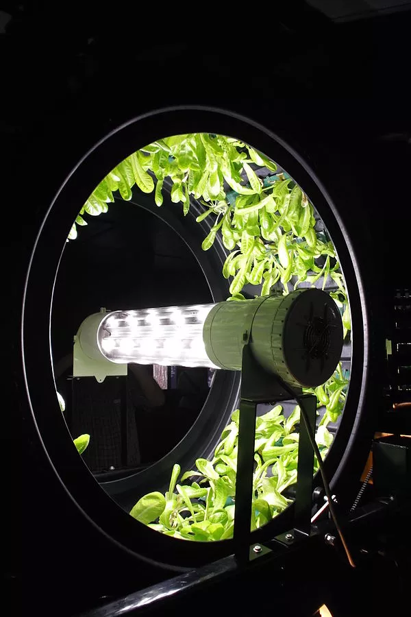 Rotary Hydroponic System