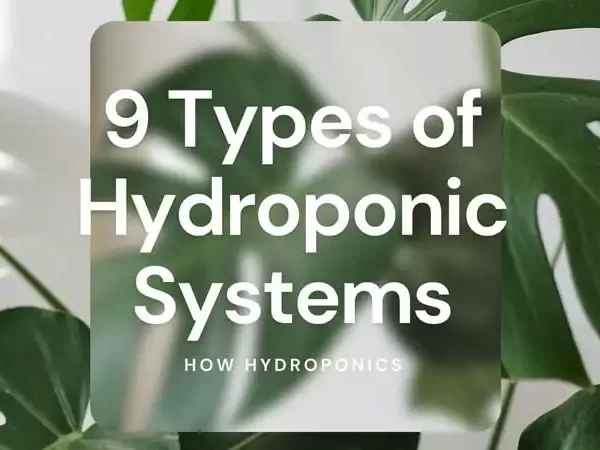 Types-of-Hydroponic-system