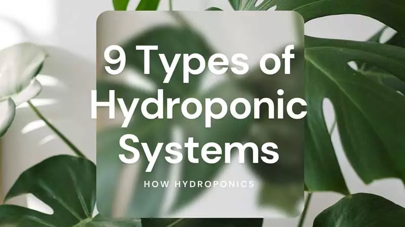 Types-of-Hydroponic-system