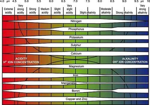 hydroponic-nutrition-Truog-pH-chart