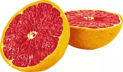 Grapefruit Seed Extract to remove Algae in Hydroponics