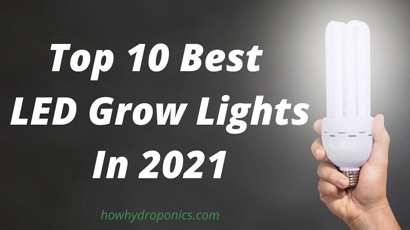 Top 10 Best LED Grow Lights 2021