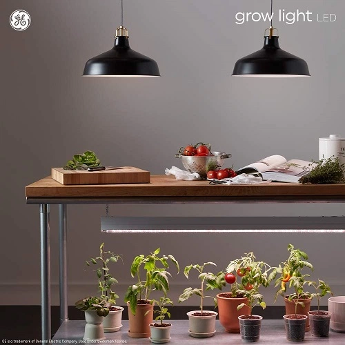 GE PAR38 best indoor grow light