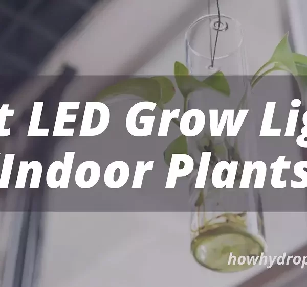 indoor grow lights