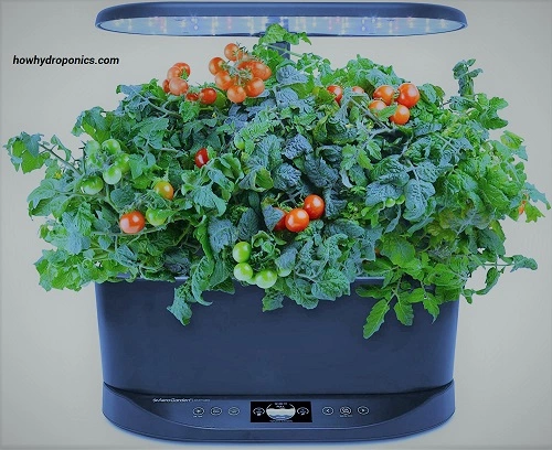 AeroGarden Bounty hydroponic indoor garden