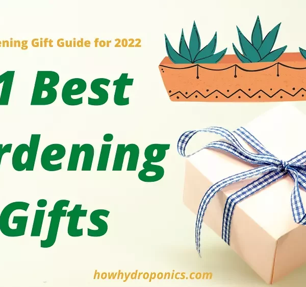The 21 Best Hydroponic Gardening Gifts 2022