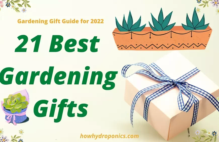 Hydroponic gardening gift for mom and dad