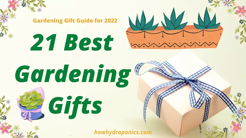 The 21 Best Hydroponic Gardening Gifts on the Internet