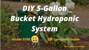 DIY 5 Gallon Bucket Hydroponic System