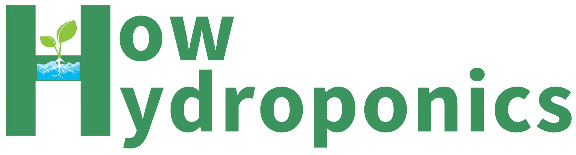 How Hydroponics