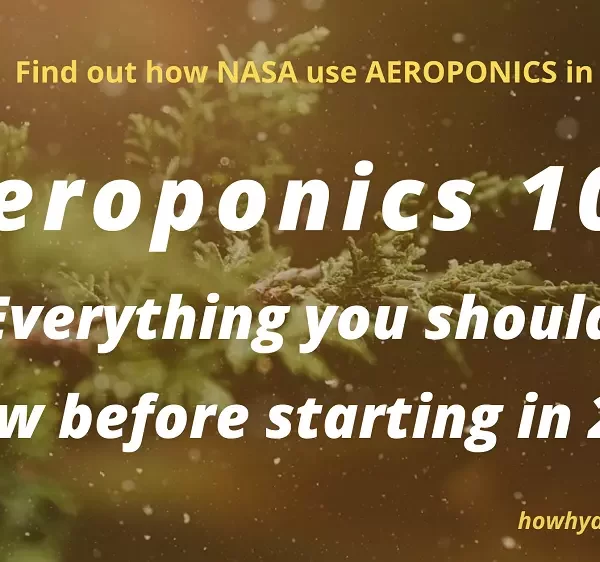 Aeroponics 101 and the NASA connection