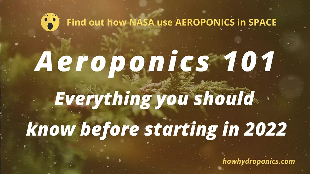Aeroponics 101 and the NASA connection