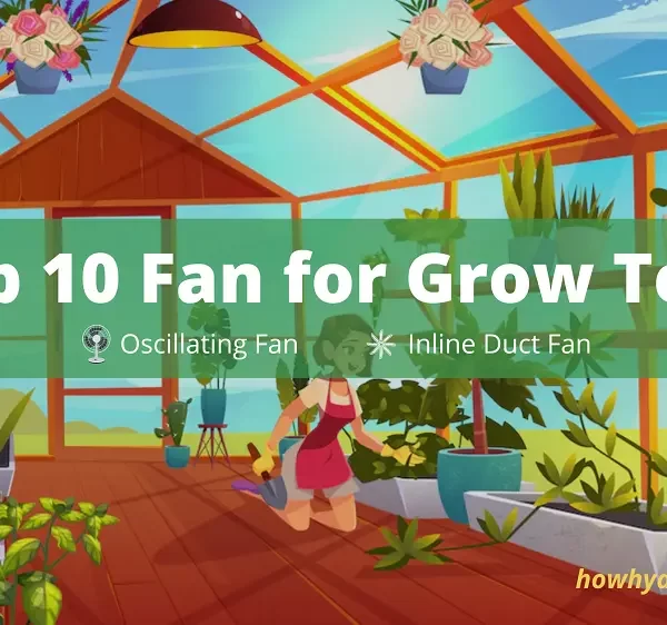 Top 10 Fans for your Grow Tent