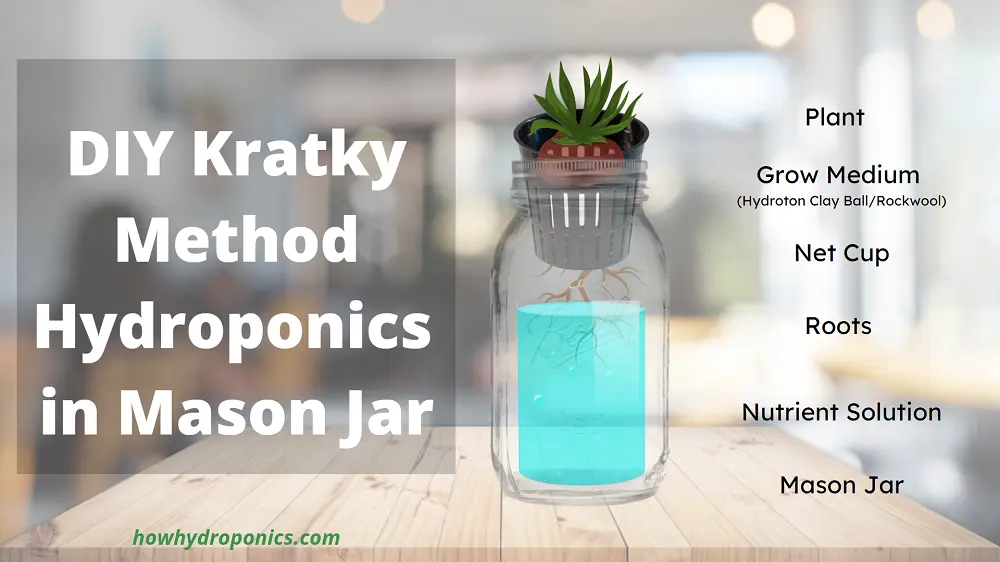 DIY Hydroponics in Mason Jar with Kratky Method