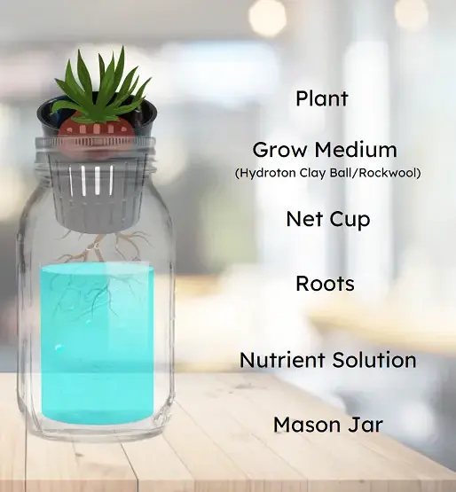 Kratky Method in mason jar diagram