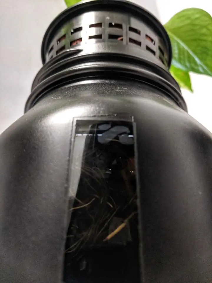 mason jar black paint and window to check nutrient