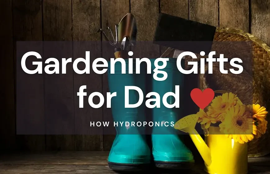 Gardening Gifts for dad on fathers day