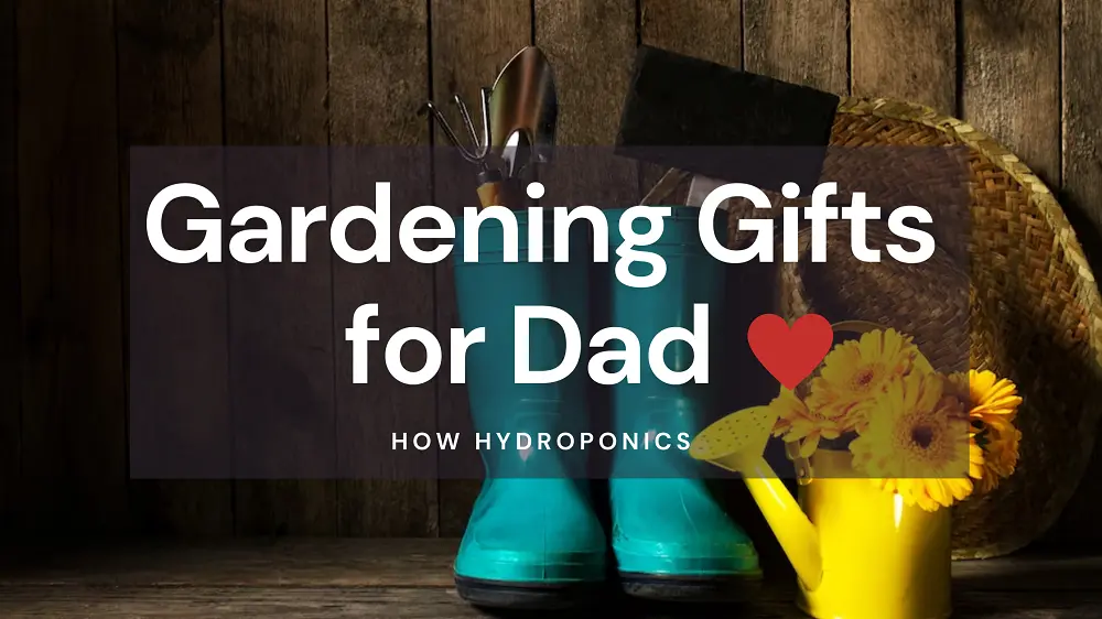 15 Best Gardening Gifts for Father’s Day