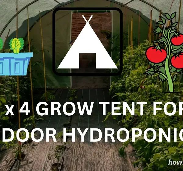 Best 4x4 grow tent for hydroponics