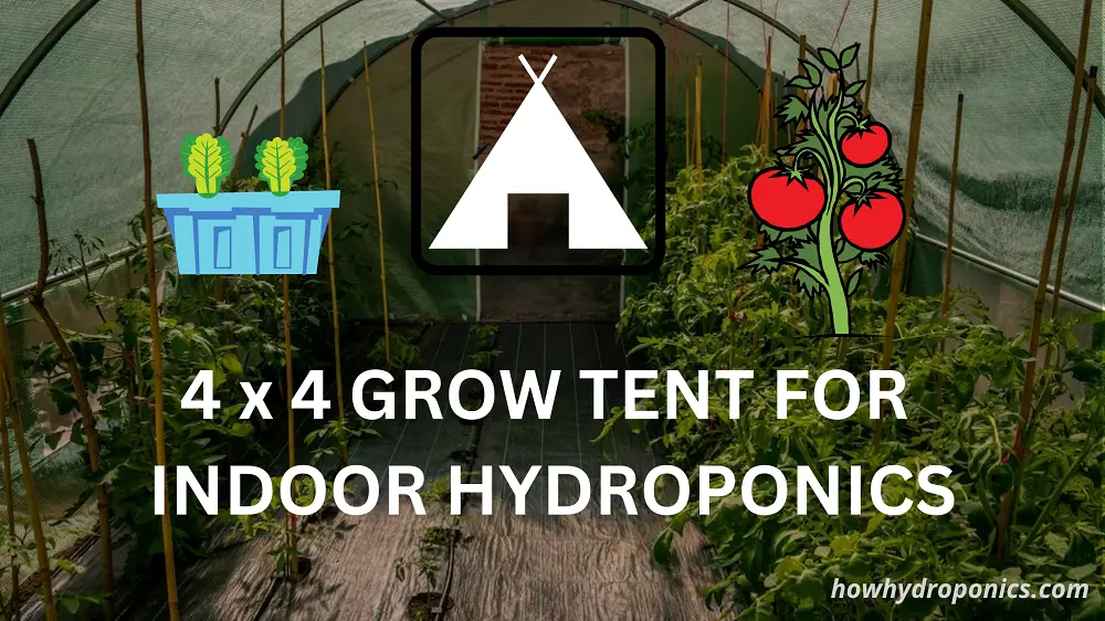 Best 4×4 Grow Tents for Hydroponics (All Queries Answered)