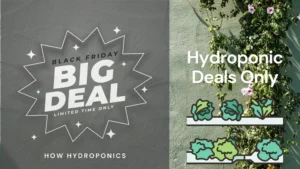 Hydroponic deals for thanksgiving