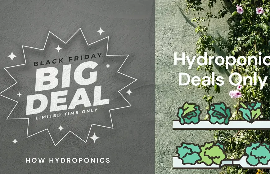 Hydroponic deals for thanksgiving