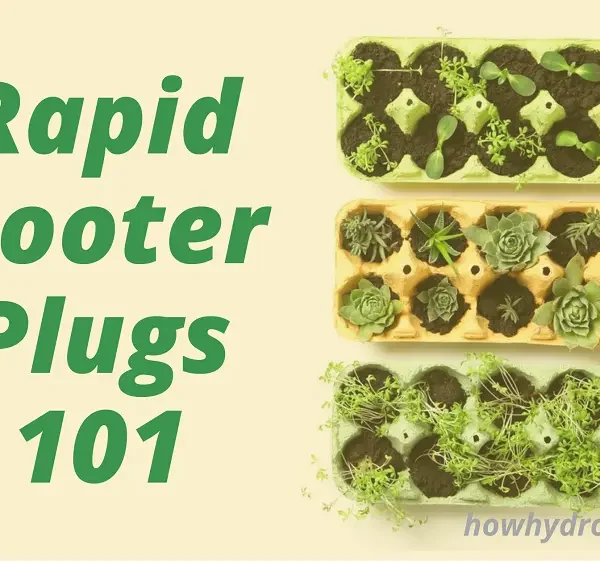 rapid rooter and root riot plugs for seeds