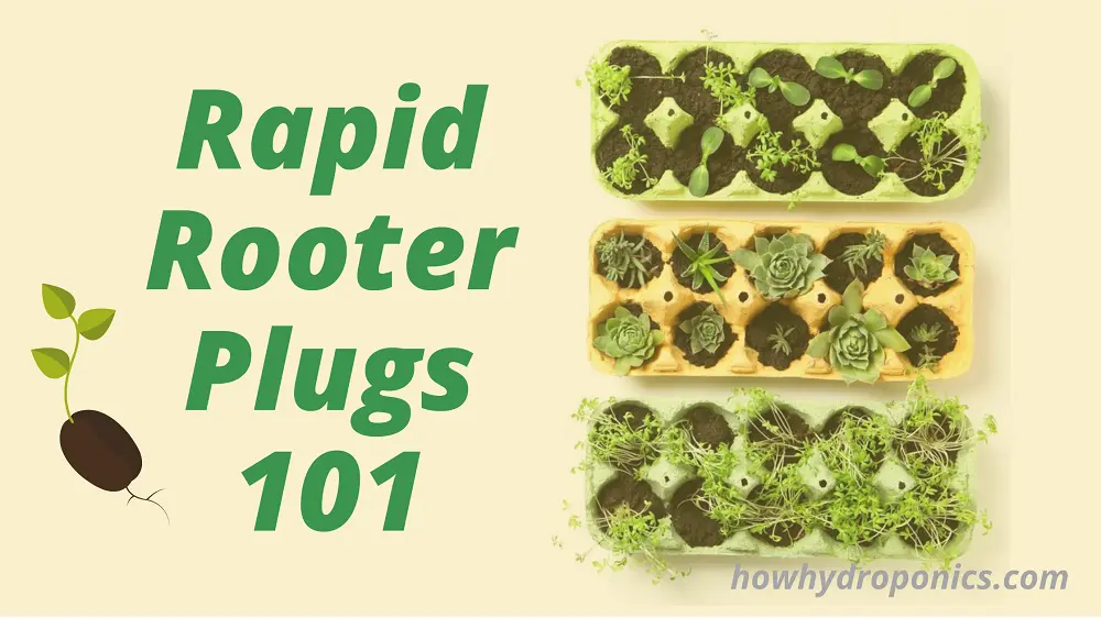 Dominate Plant Growth with Rapid Rooter: The Ultimate Guide