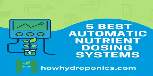 Top 5 Automated Hydroponic Nutrient Dosing System
