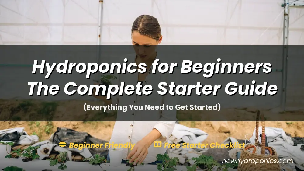 Hydroponics for begineers starter guide 2026